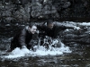 Noel Clarke и Jj Feild в фильме Центурион (Centurion)