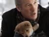 Richard Gere в фильме Хатико. Самый верный друг (Hachiko)