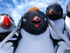 Сцена из мультфильма Делай ноги 2 (Happy Feet Two)