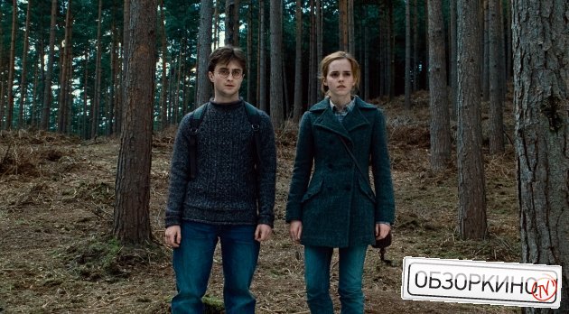 Daniel Radcliffe и Emma Watson в фильме Гарри Поттер и дары смерти. Часть 1 (Harry Potter And The Deathly Hallows Part 1)