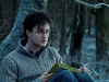 Daniel Radcliffe в фильме Гарри Поттер и дары смерти. Часть 1 (Harry Potter And The Deathly Hallows Part 1)