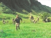 Sam Neill в фильме Парк юрского периода (Jurassic Park)