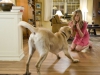 Jennifer Aniston в фильме Марли и я (Marley And Me)