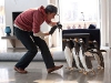 Jim Carrey в фильме Пингвины мистера Поппера (Mr. Poppers Penguins)