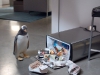 Сцена из фильма Пингвины мистера Поппера (Mr. Poppers Penguins)