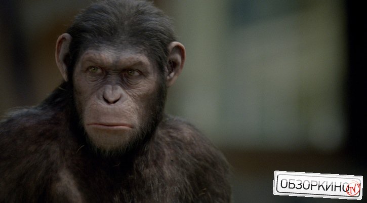 Сцена из фильма Восстание планеты обезьян (Rise of the Planet of the Apes)