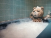 Сцена из фильма Третий лишний (Ted)