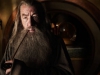Ian McKellen в фильме Хоббит Нежданное путешествие (The Hobbit An Unexpected Journey)
