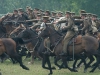 Сцена из фильма Боевой конь (War Horse)