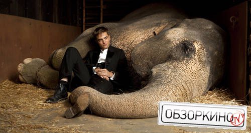 Robert Pattinson в фильме Воды слонам (Water for Elephants)