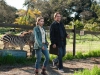 Matt Damon и Scarlett Johansson в фильме Мы купили зоопарк (We Bought a Zoo)