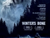 Фильм Зимняя кость (Winters Bone)